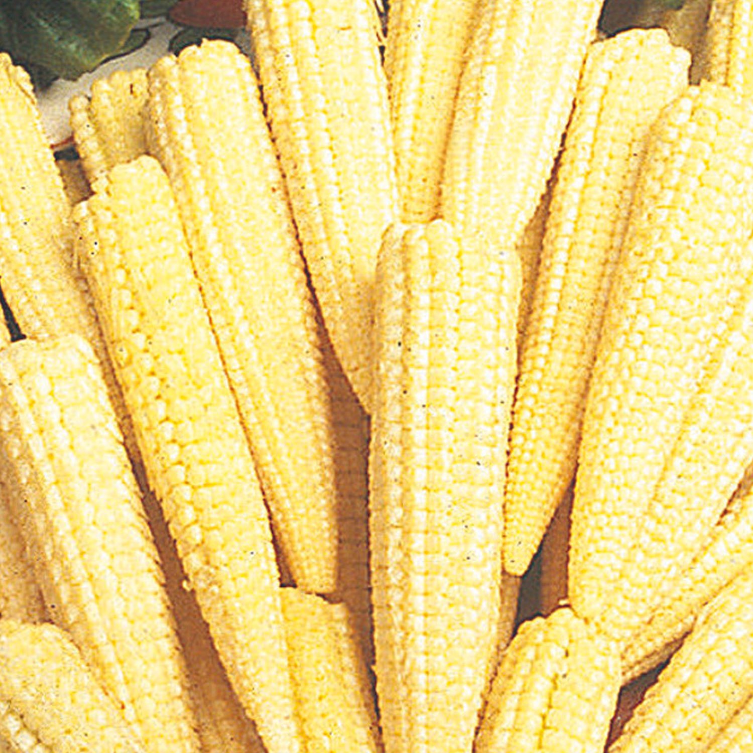 Johnsons Minipop F1 Sweet Corn Seeds Image 1