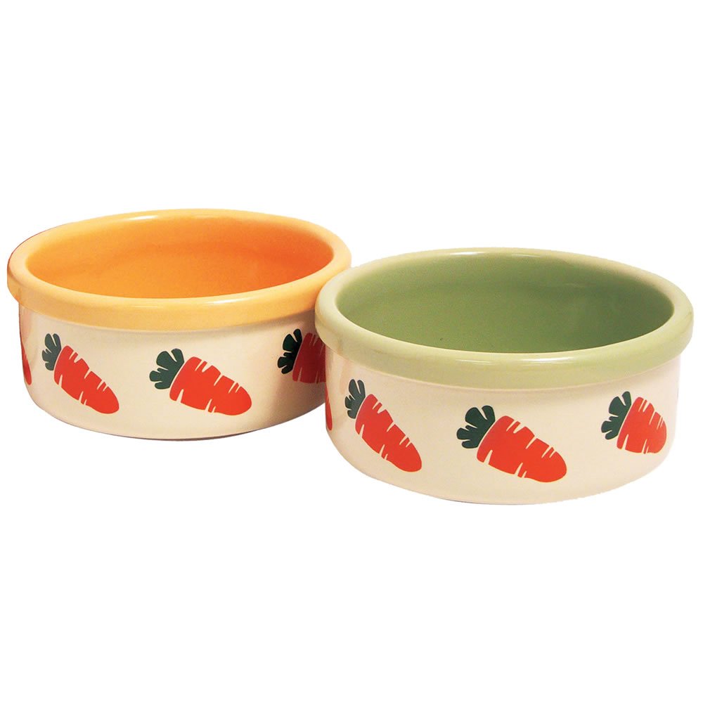 Single Wilko Small Animal Ceramic Carrot Bowl in Assorted styles Image 1