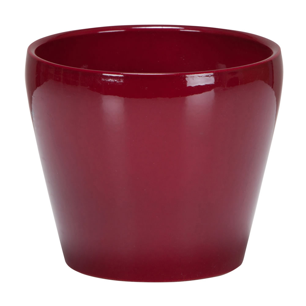 Scheurich Indoor Plant Pot Dark Red 11cm Image