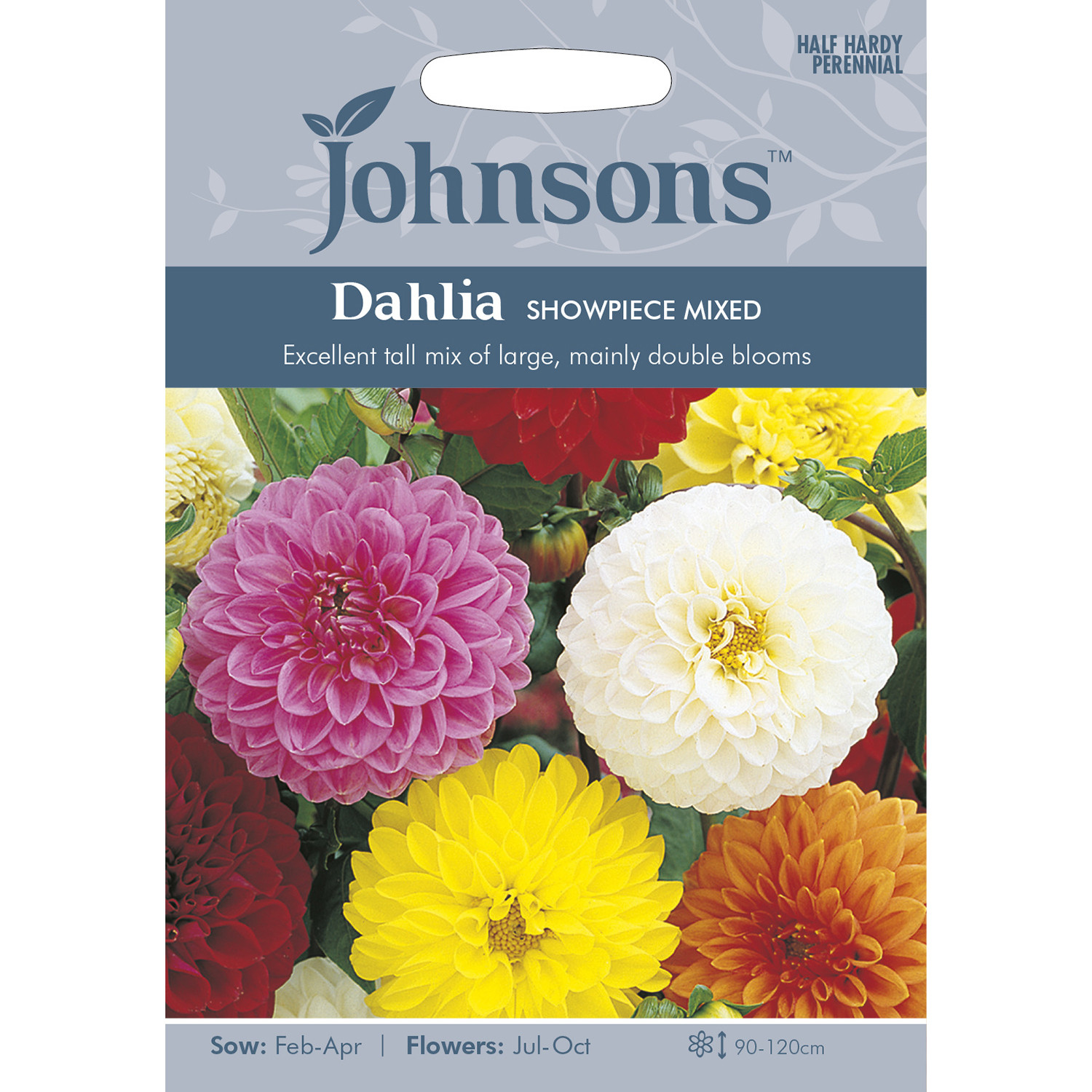 Johnsons Dahlia Mixed Showpiece Flower Seeds Image 2