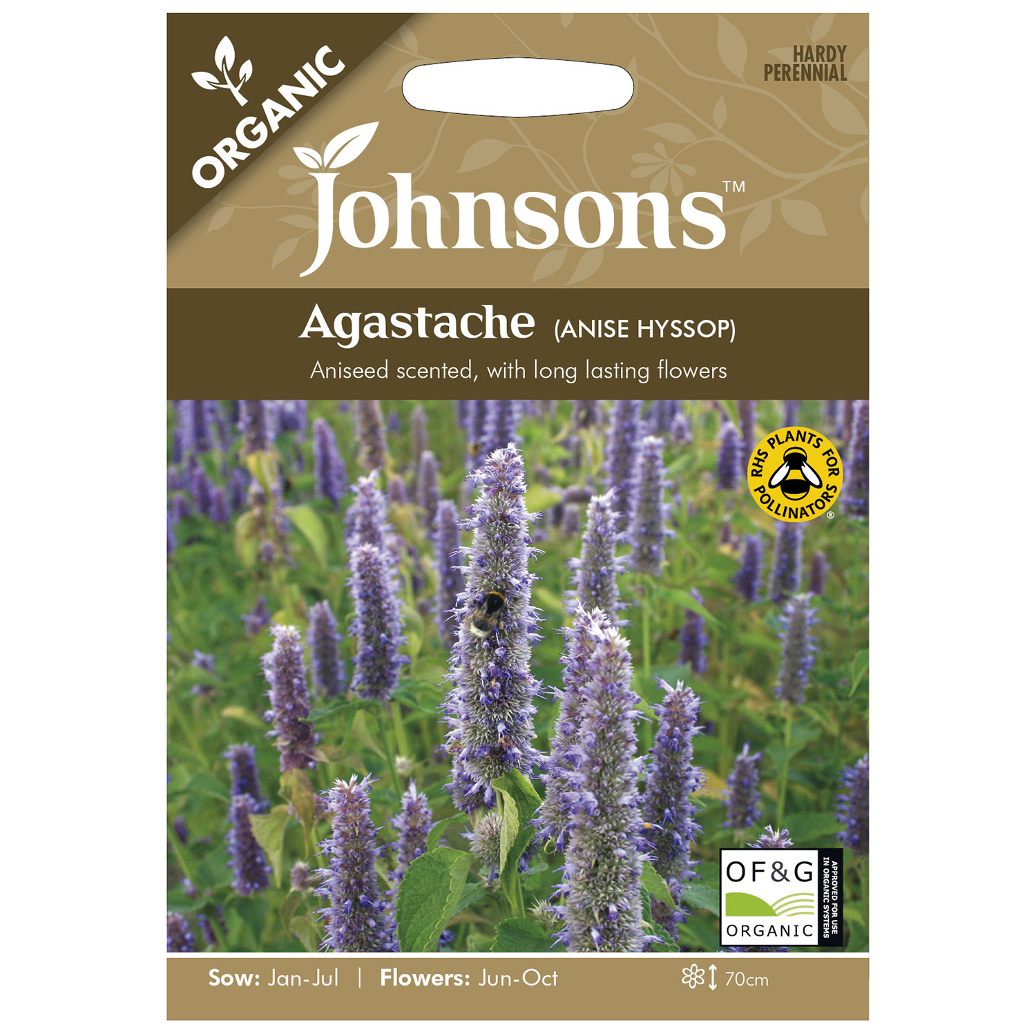 Johnsons Agastache Anise Hyssop Image 1