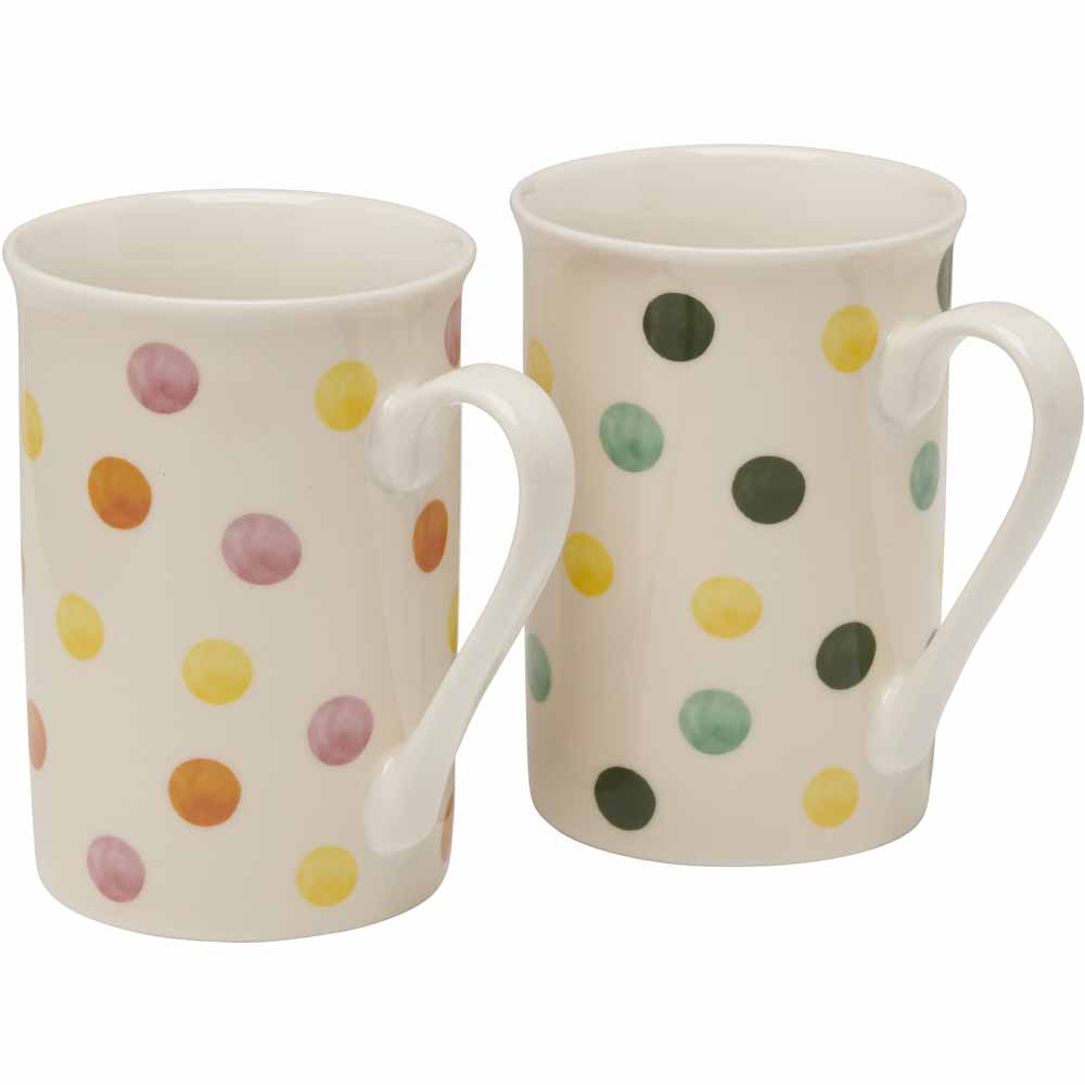 Wilko Multicoloured Spots Mug Image 4