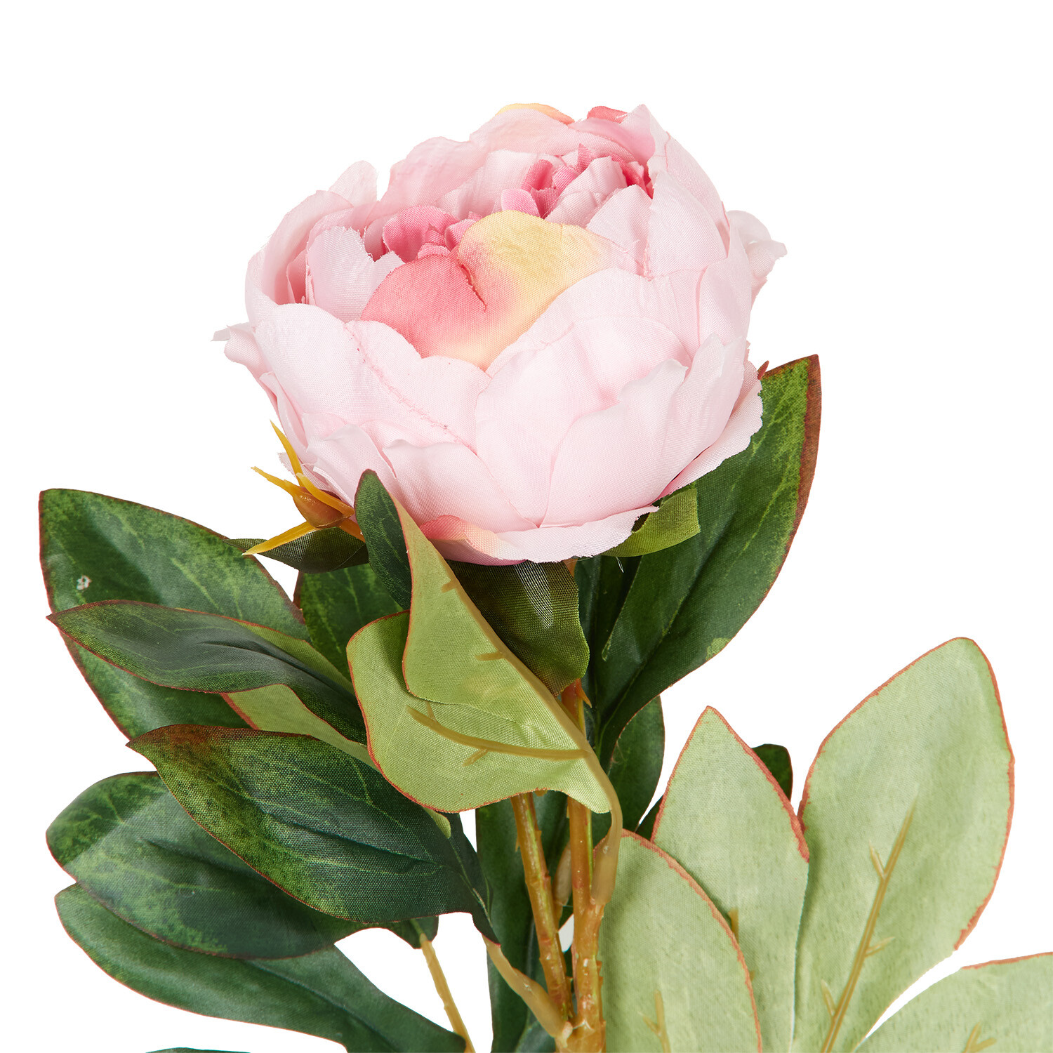 Faux Millicent Peony Image 7