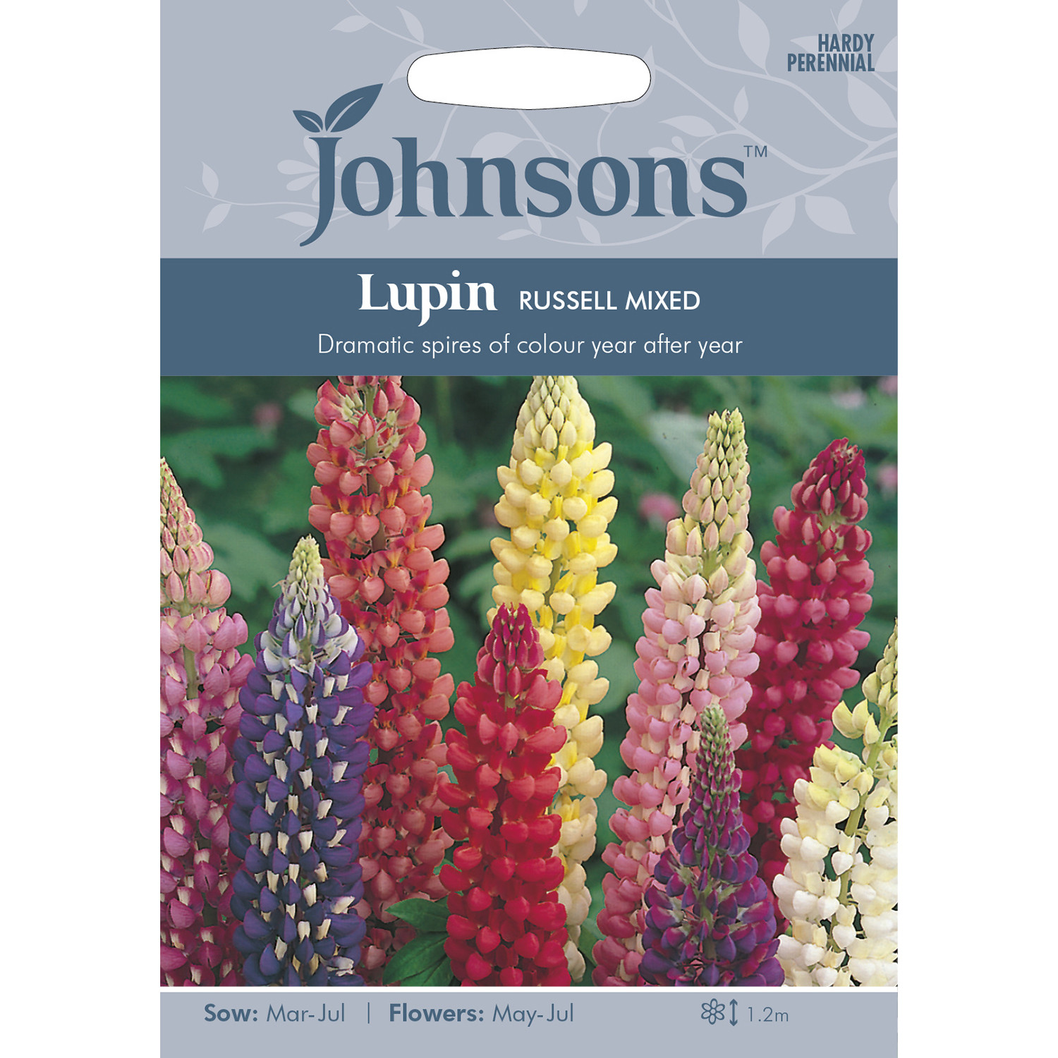 Johnsons Lupin Russell Mixed Flower Seeds Image 2