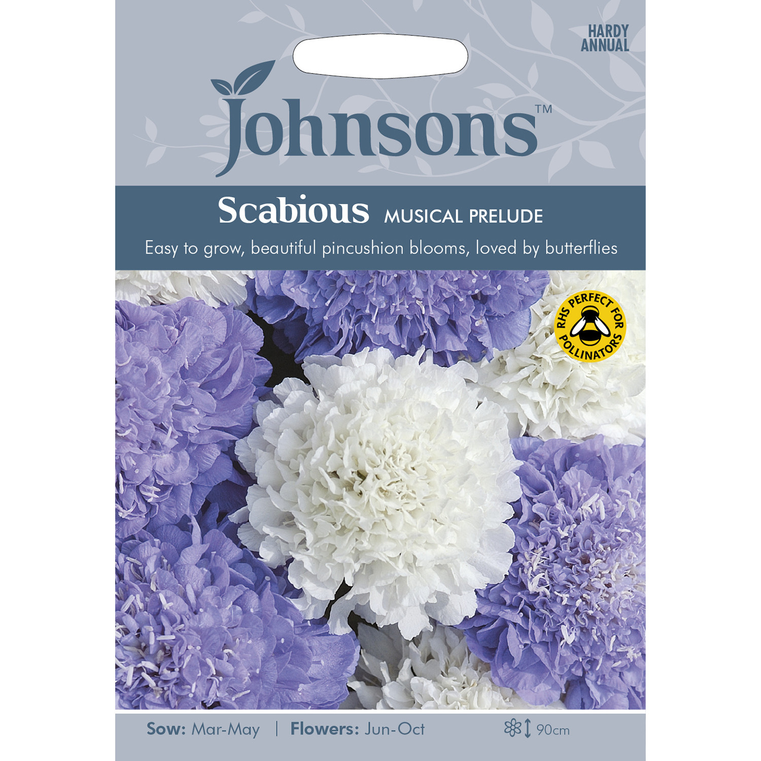 Johnsons Scabious Musical Prelude Flower Seeds Image 2