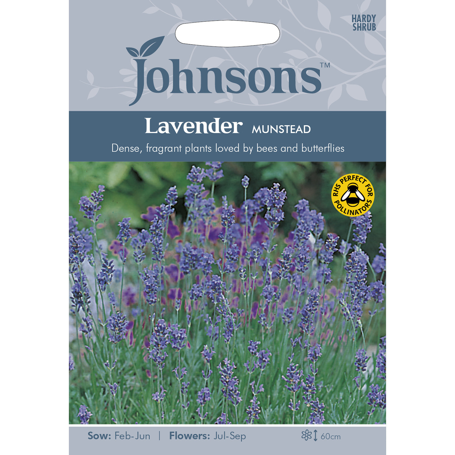 Johnsons Lavender Munstead Flower Seeds Image 2