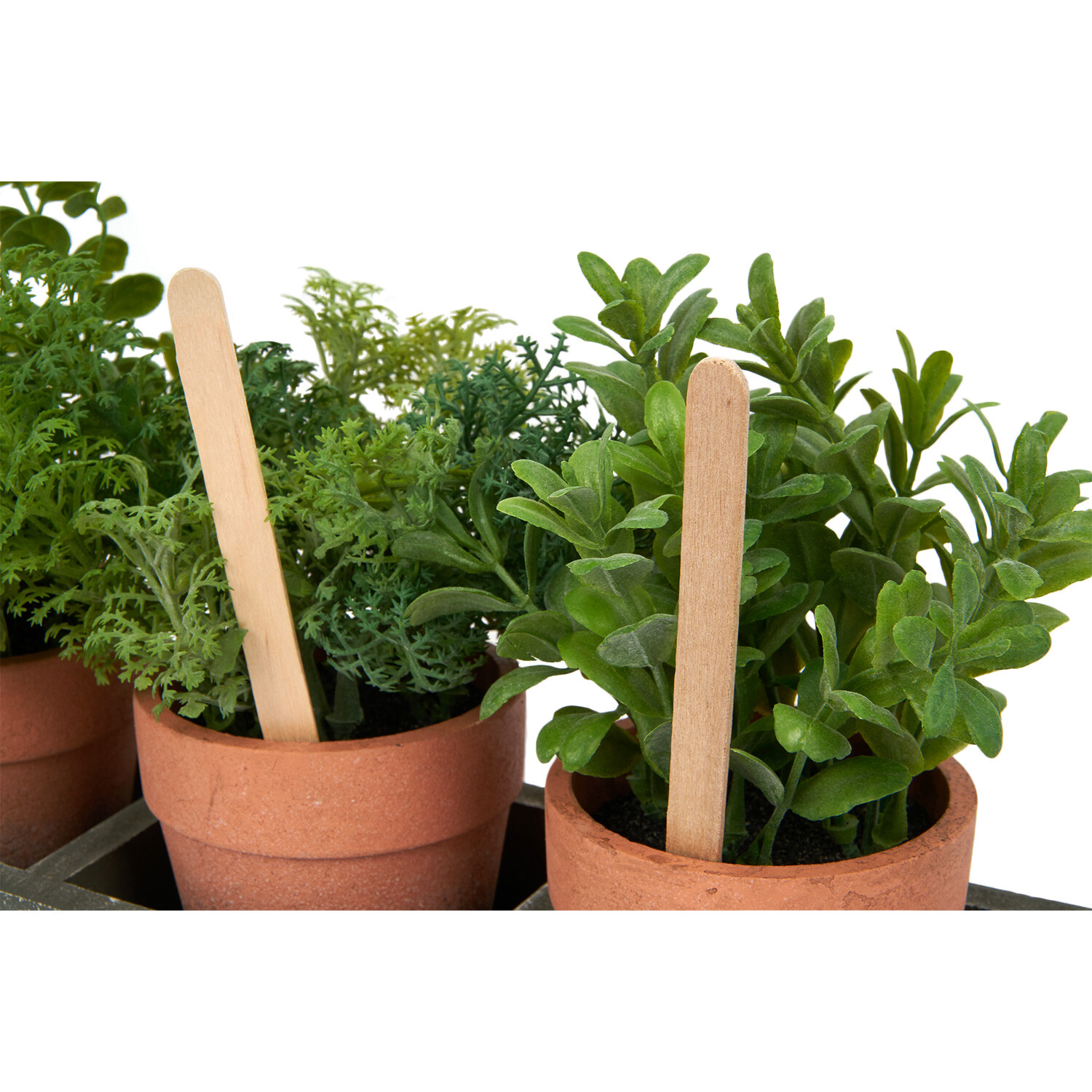 Set of 3 Potted Herbs in Tray - Grey Image 2