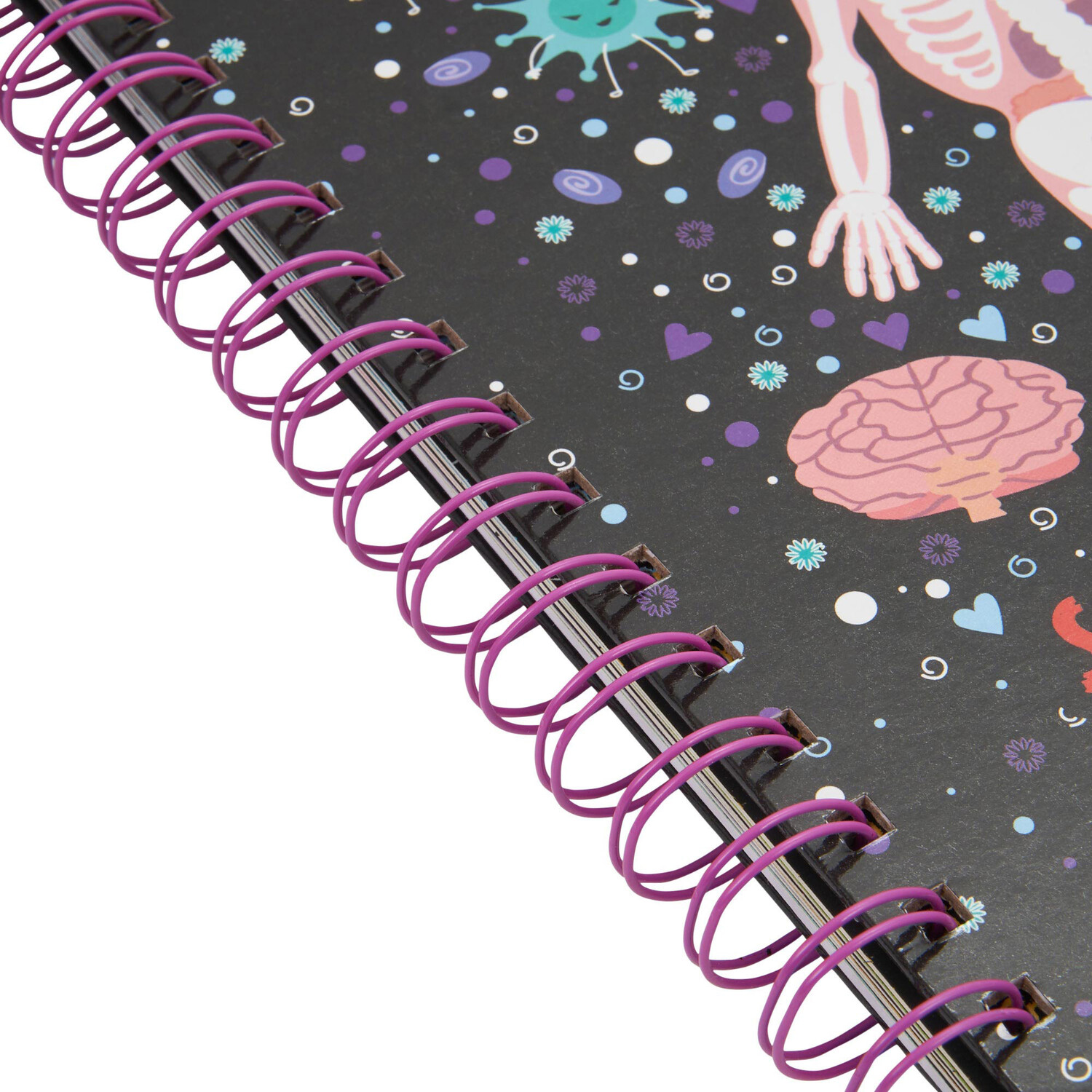 Bookoli Scratch and Explore Human Body Activity Book Image 2