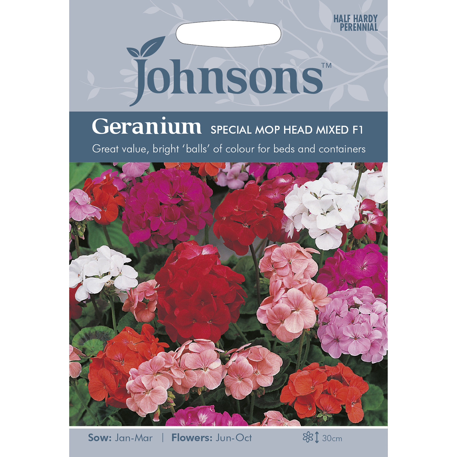 Johnsons Geranium Special Mop Head Mixed Flower Seeds Image 2
