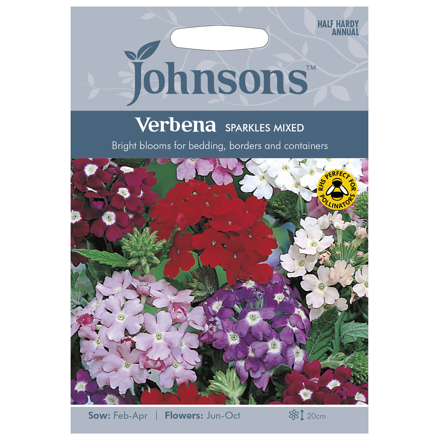 Johnsons Pack of Sparkles Mixed Verbena Flower Seeds Image