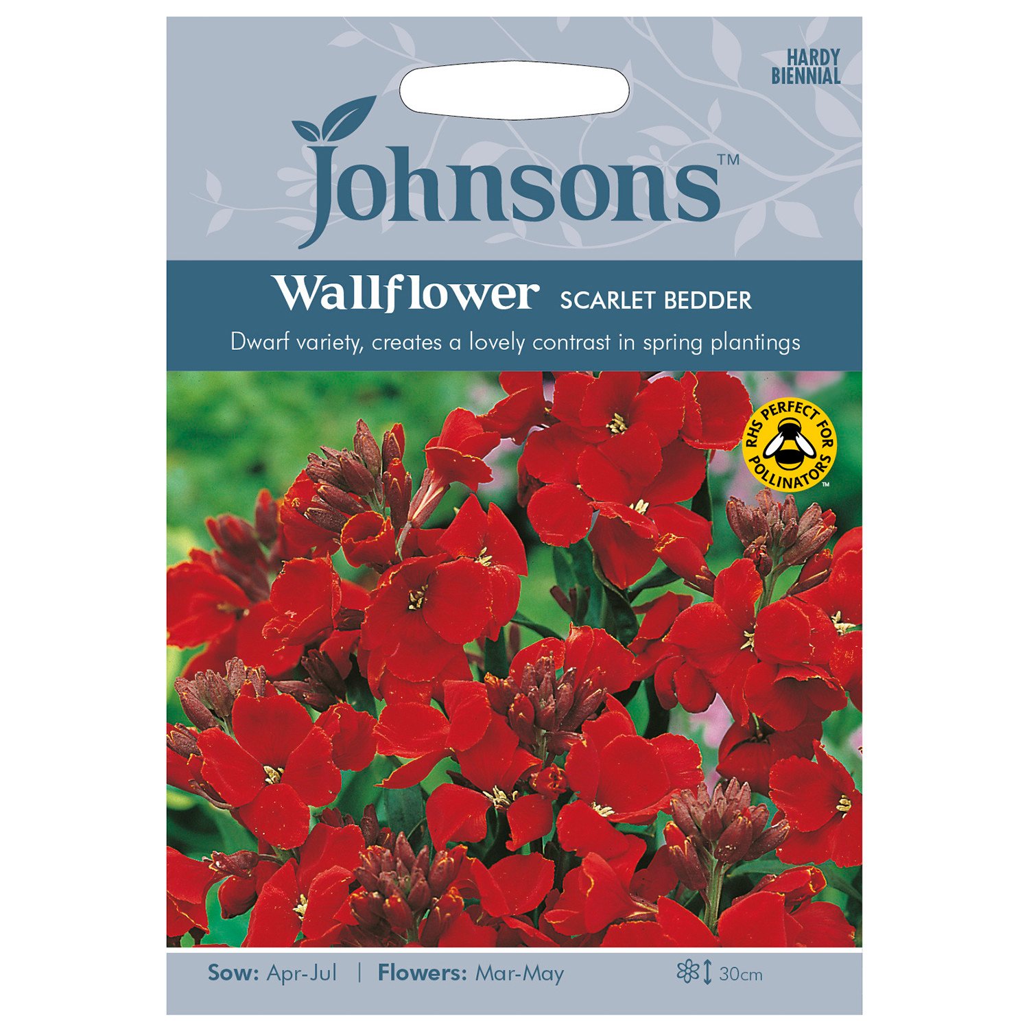 Johnsons Pack of Scarlet Bedder Wallflower Seeds Image