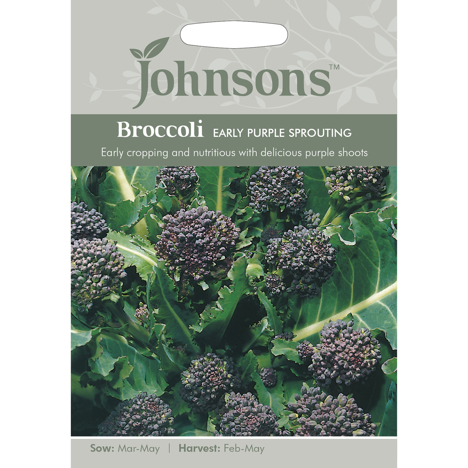 Johnsons Early Purple Sprouting Broccoli Seeds Image 2