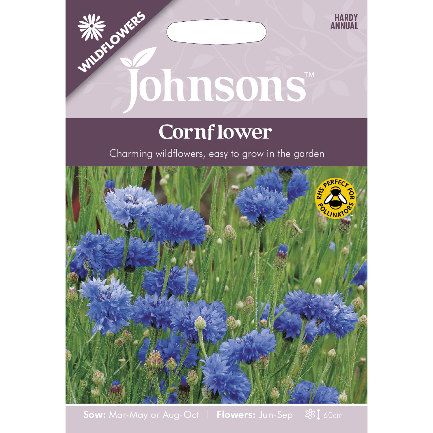 Johnsons Wildflowers Cornflower Blue Flower Seeds Image 2