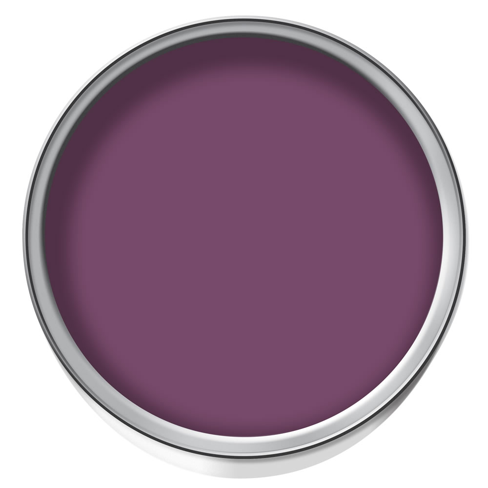 Wilko Durable Plum Berry Matt Emulsion Paint 2.5L Image 2