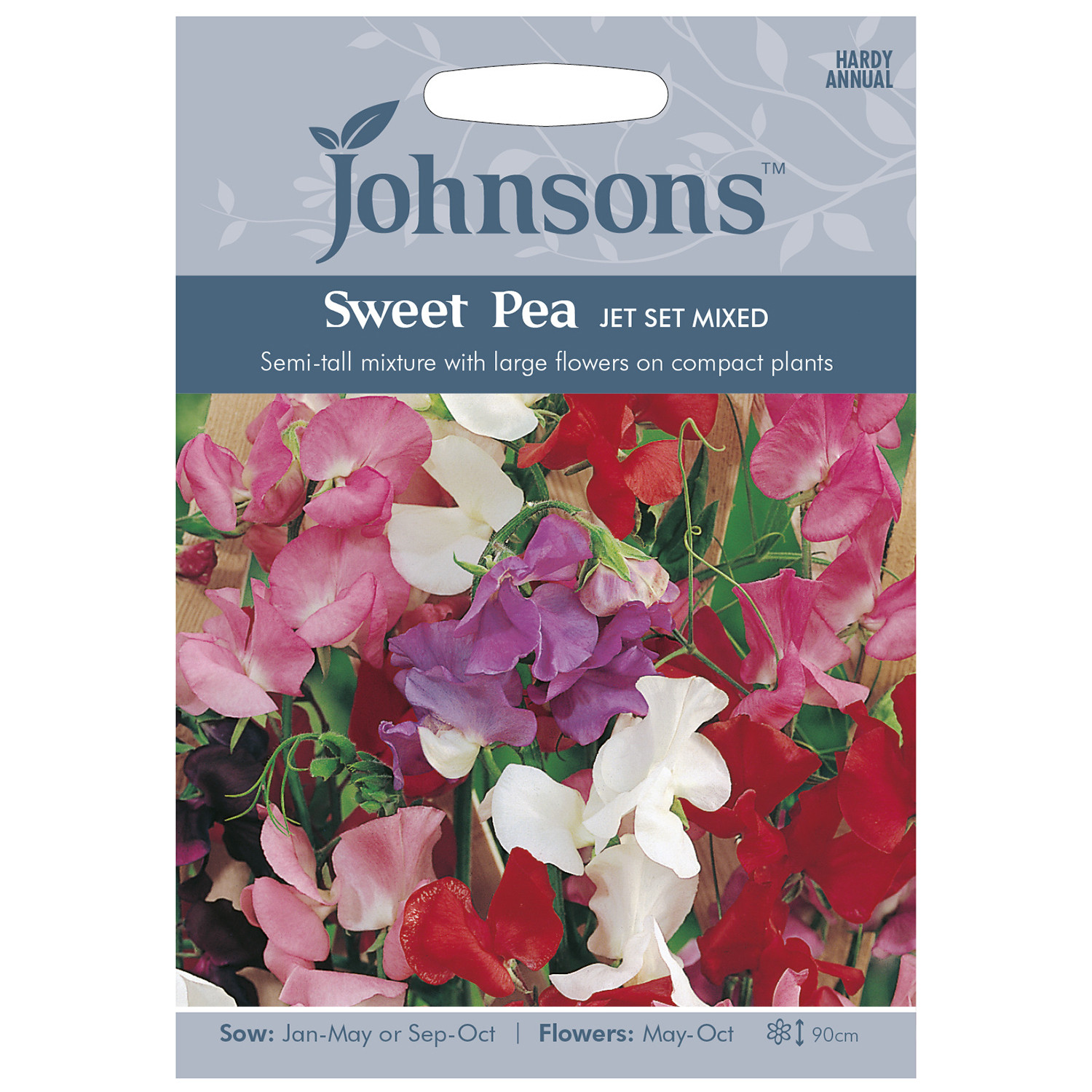 Johnsons Pack of Jet Set Mixed Sweet Pea Flower Seeds Image