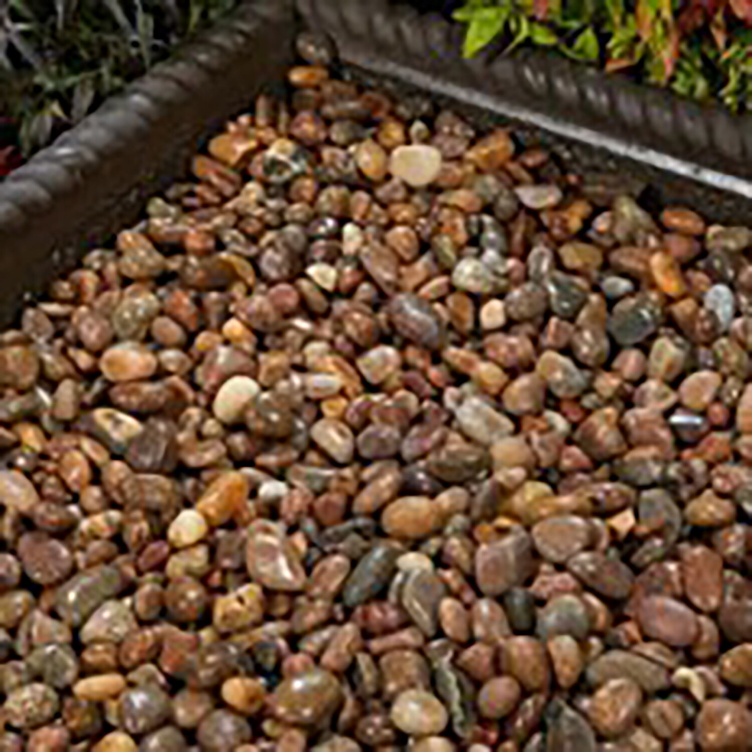 Scottish Cobble Pebbles Image 1