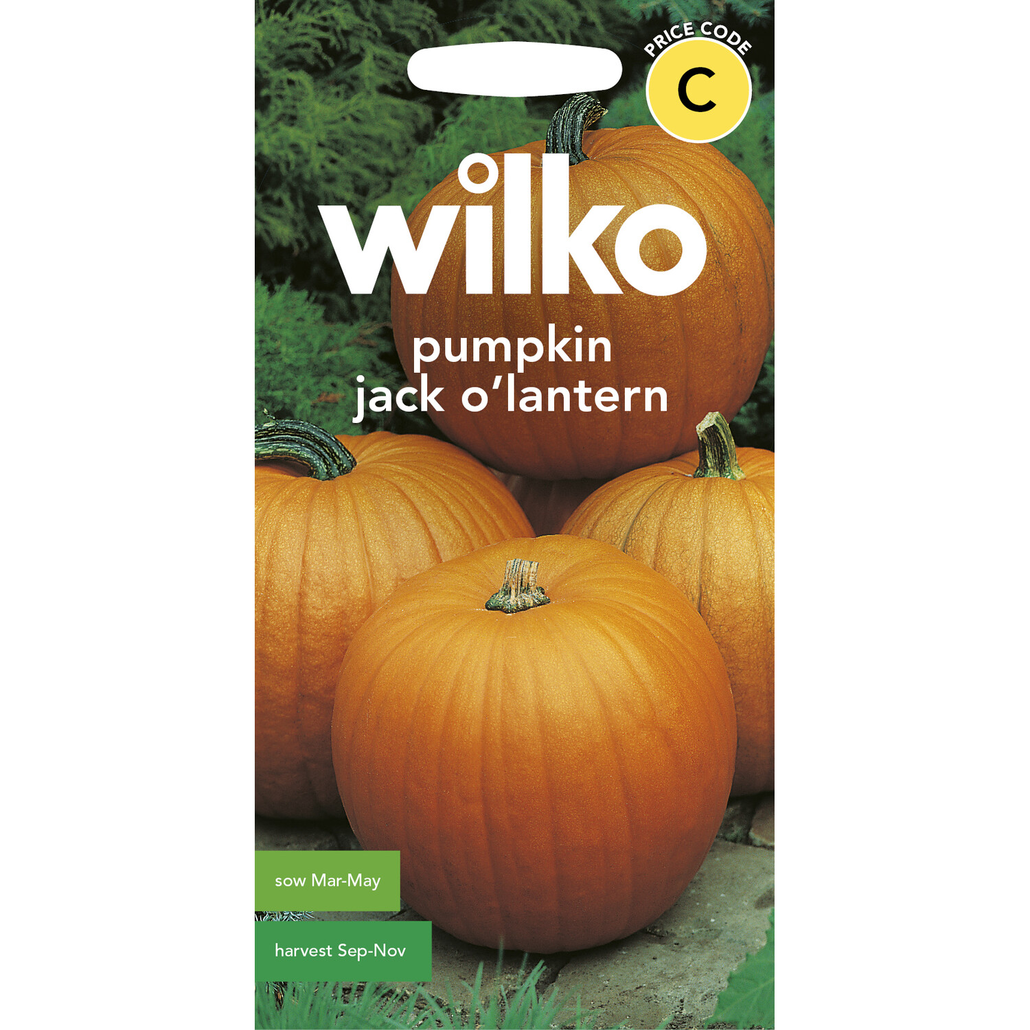 Wilko Pumpkin Jack O Lantern Seeds Image 1