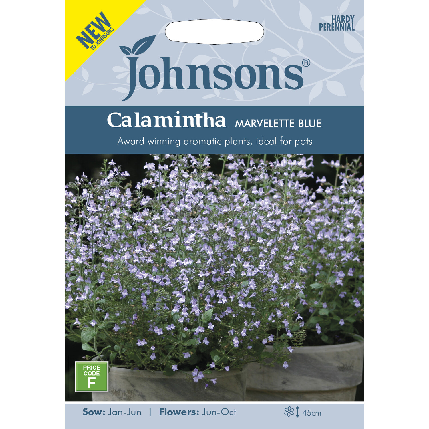 Calamintha Nepeta Marvelette Blue Image