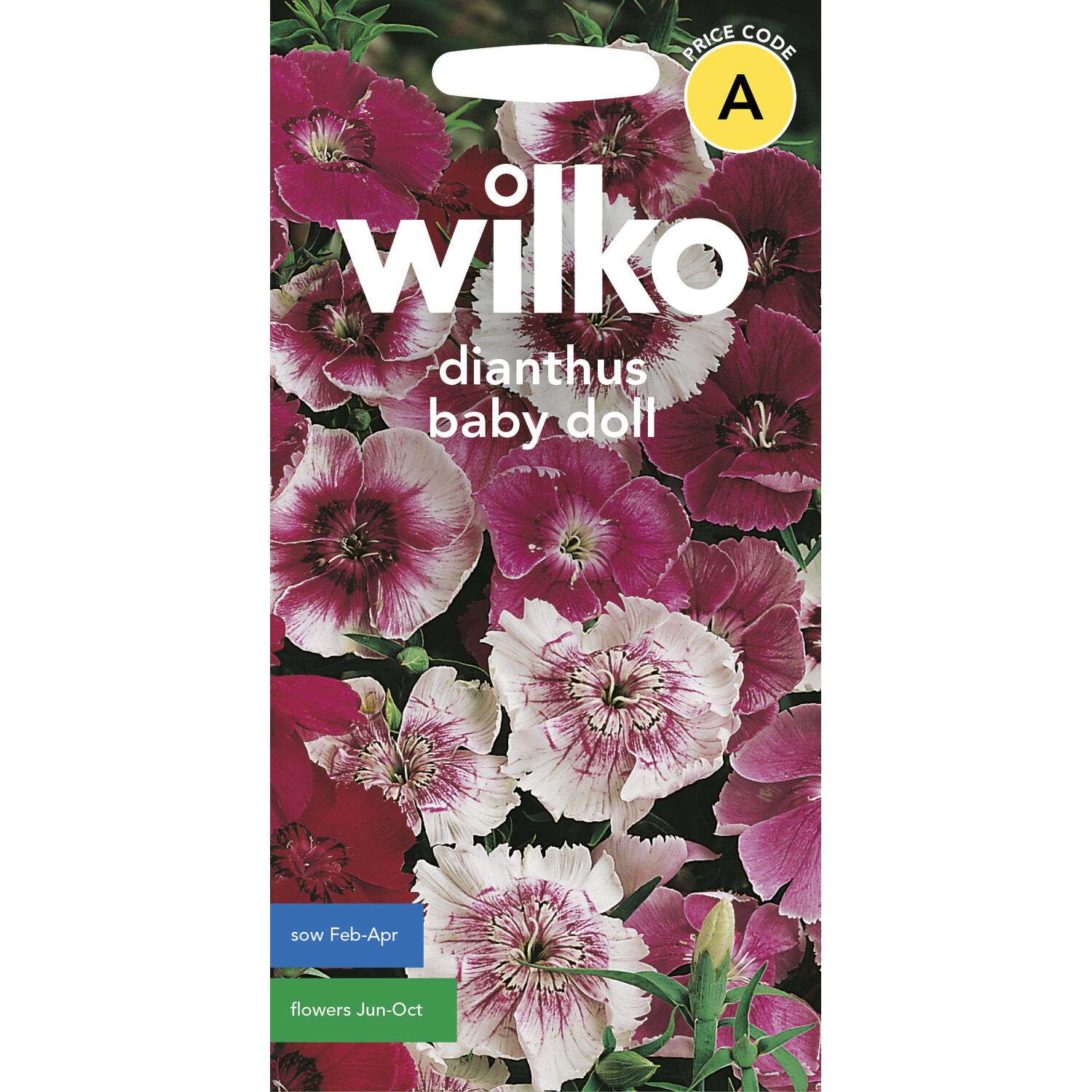 Wilko Dianthus Baby Doll Seeds Image 1