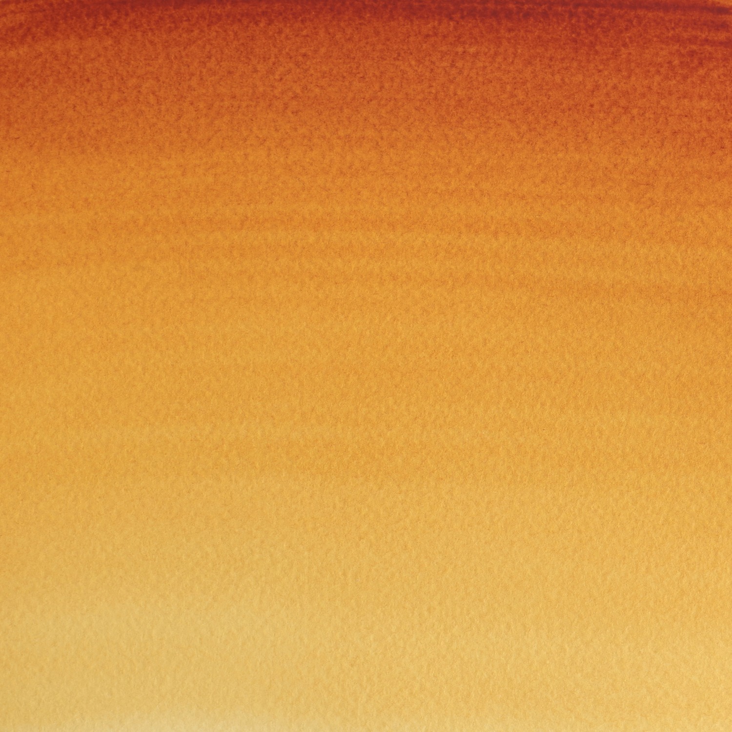 Winsor and Newton 5ml Professional Watercolour Paint - Quinac Gold Image 2
