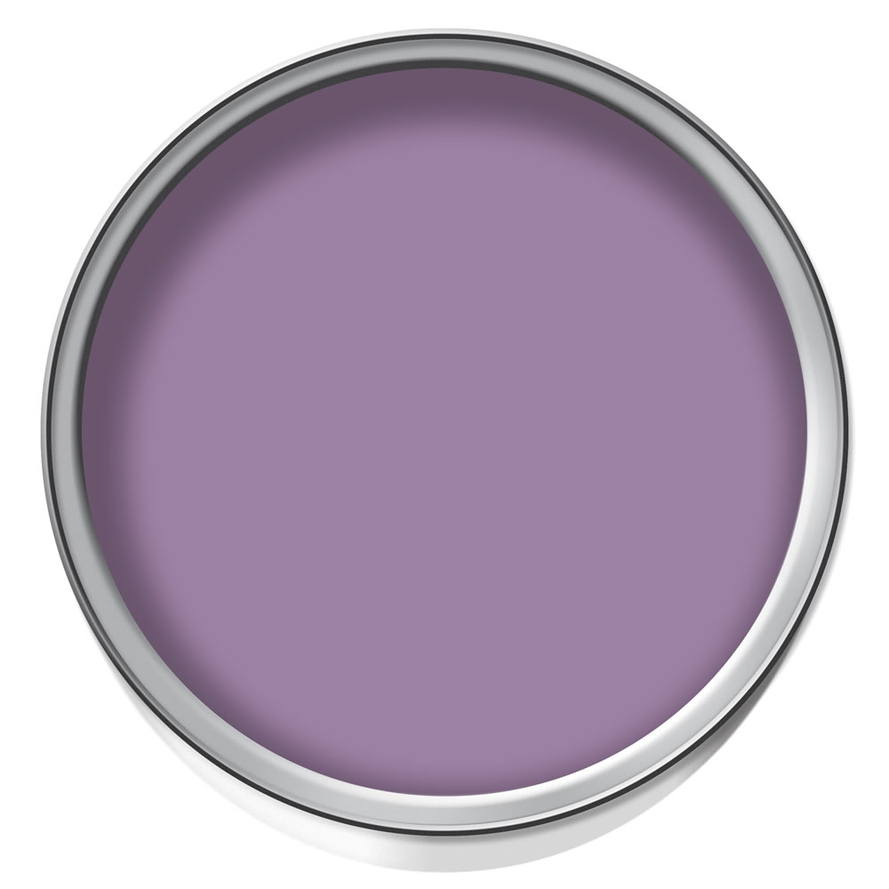 Wilko Garden Colour Lavender Haze Exterior Paint 1L Image 2