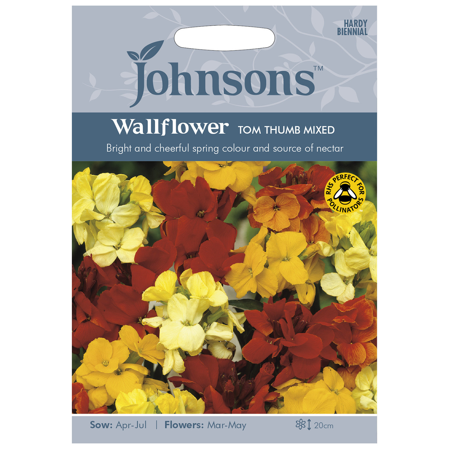 Pack of Tom Thumb Mixed Wallflower Seeds Image