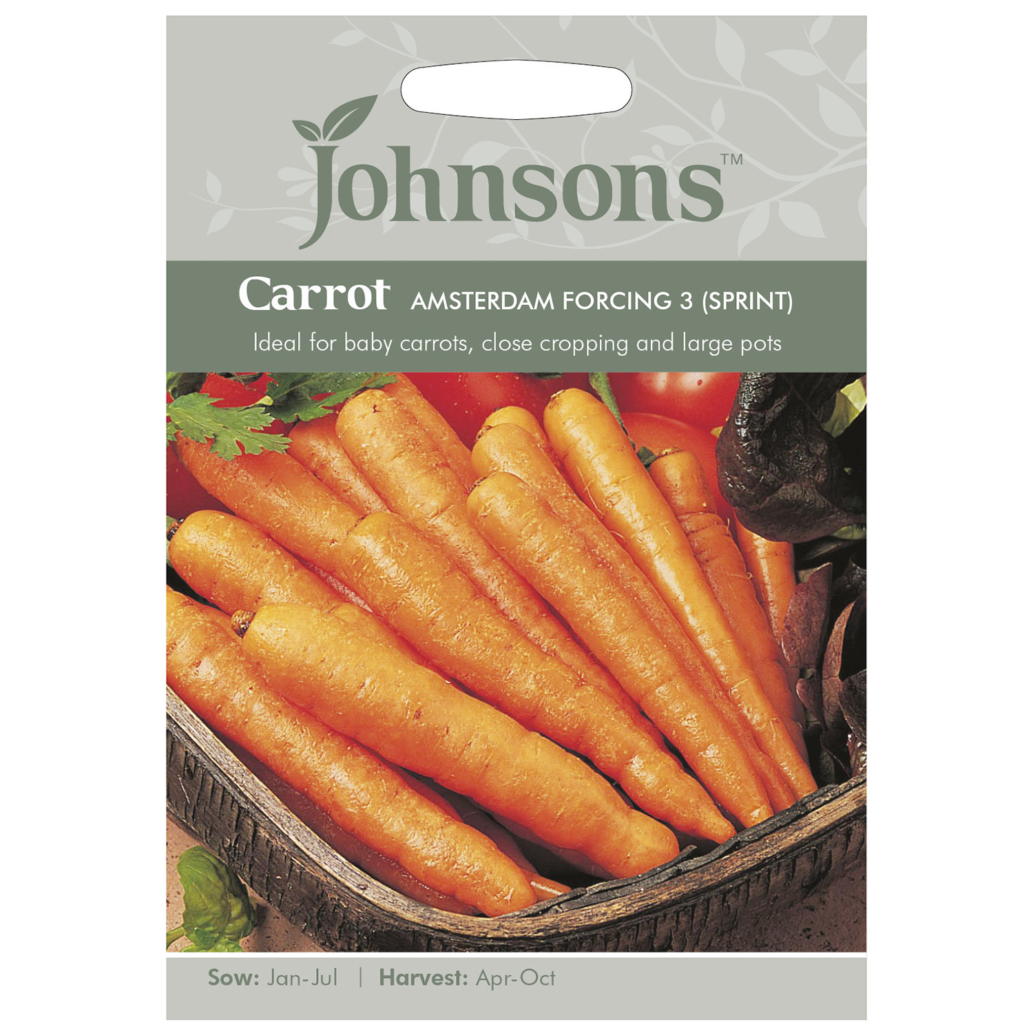 Jonhsons Amsterdam Forcing 3 Sprint Carrot Seeds Image 2