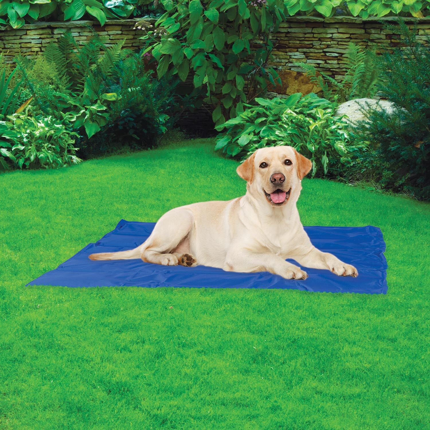 Clever Paws Large Cooling Pet Mat Image 2