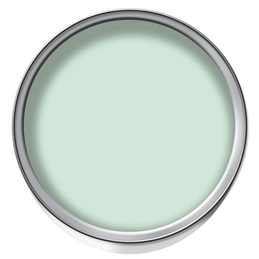 Wilko Durable Mint Crisp Matt Emulsion Paint 2.5L Image 2