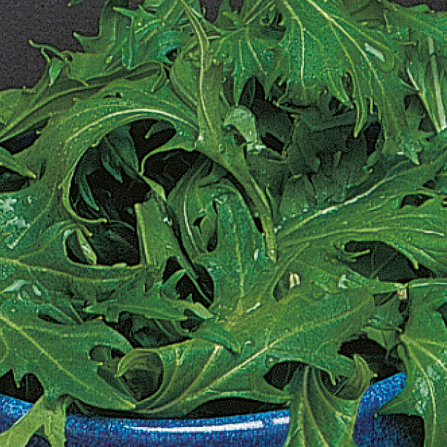 Johnsons Mizuna Seeds Image 1