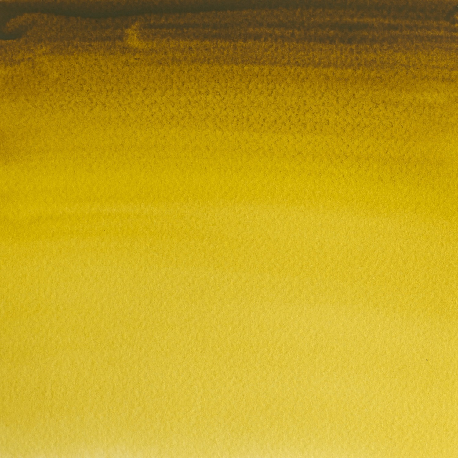 Winsor and Newton 5ml Professional Watercolour Paint - Green Gold Image 2