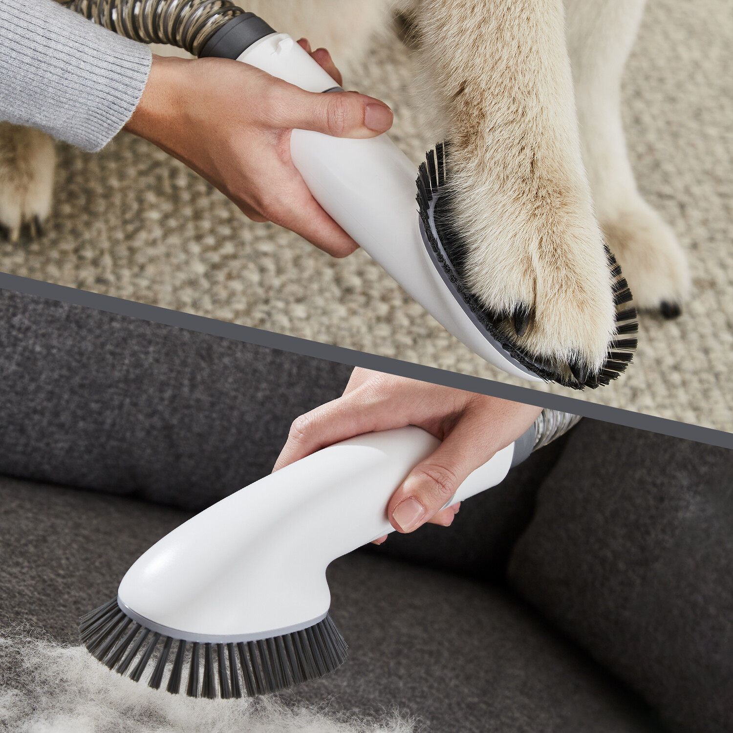 Pet Grooming Vacuum Image 6