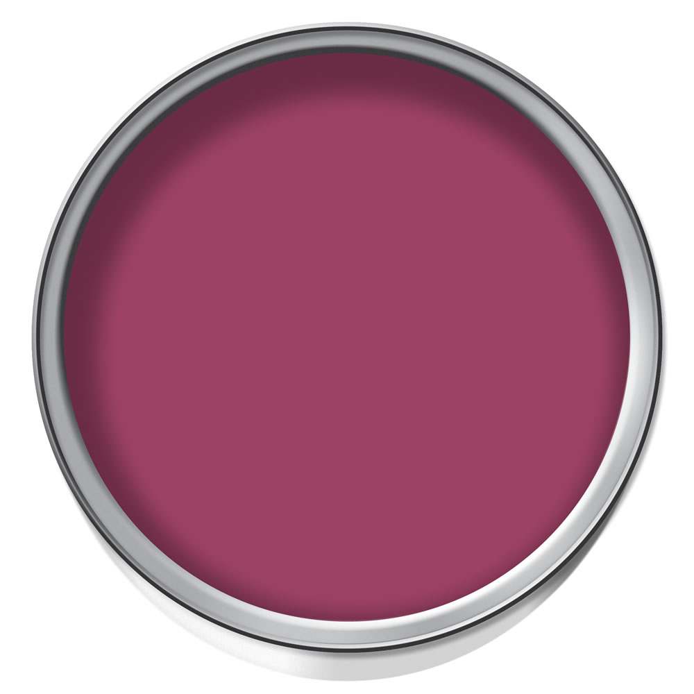 Wilko Durable Cherry Fizz Matt Emulsion Paint 2.5L Image 2