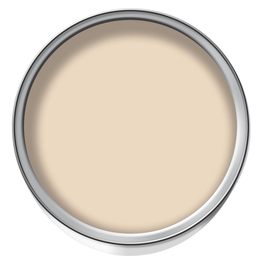 Dulux Apricot Crush Silk Emulsion Paint 2.5L Image 2