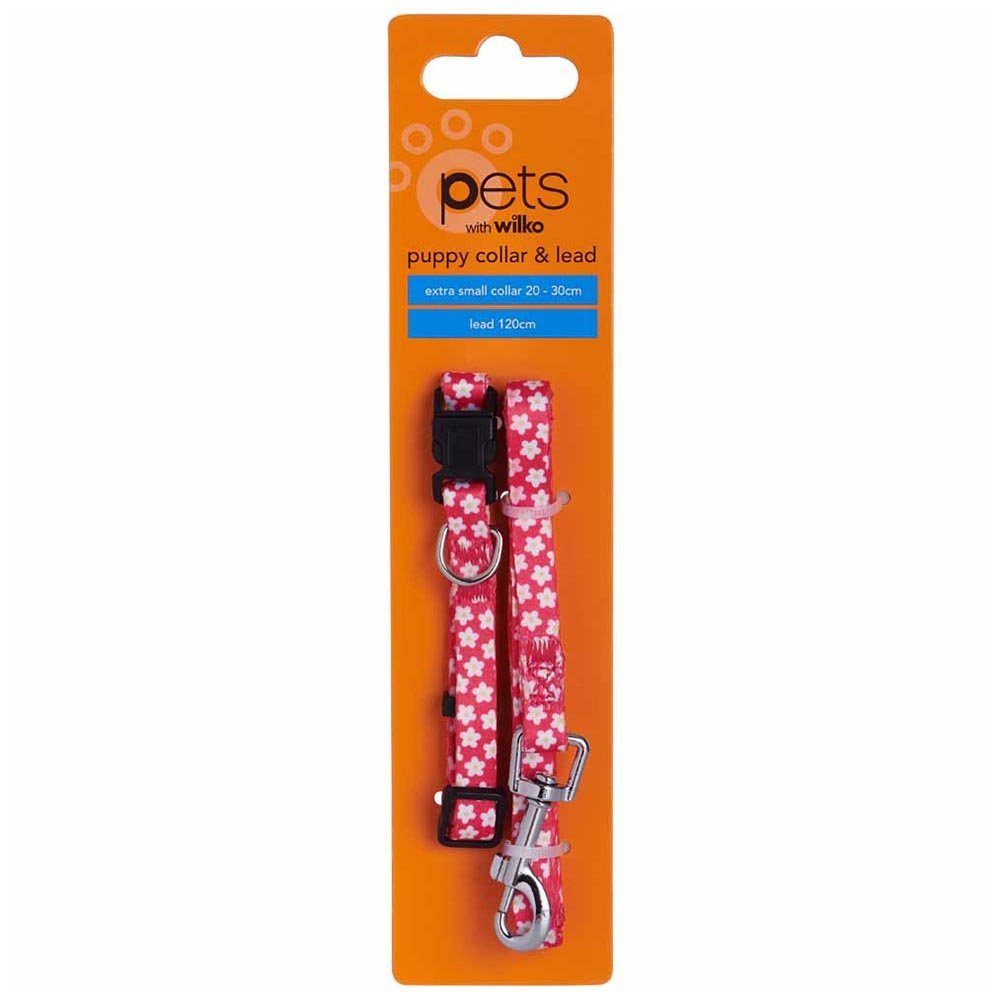Single Wilko Puppy Small Dog Collar and Lead in Assorted styles Image 3