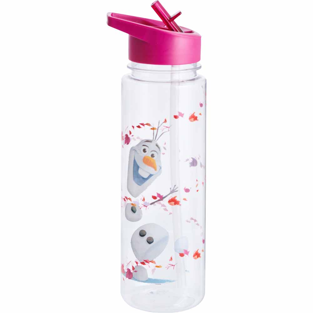 Disney Frozen 2 Water Bottle Image 2