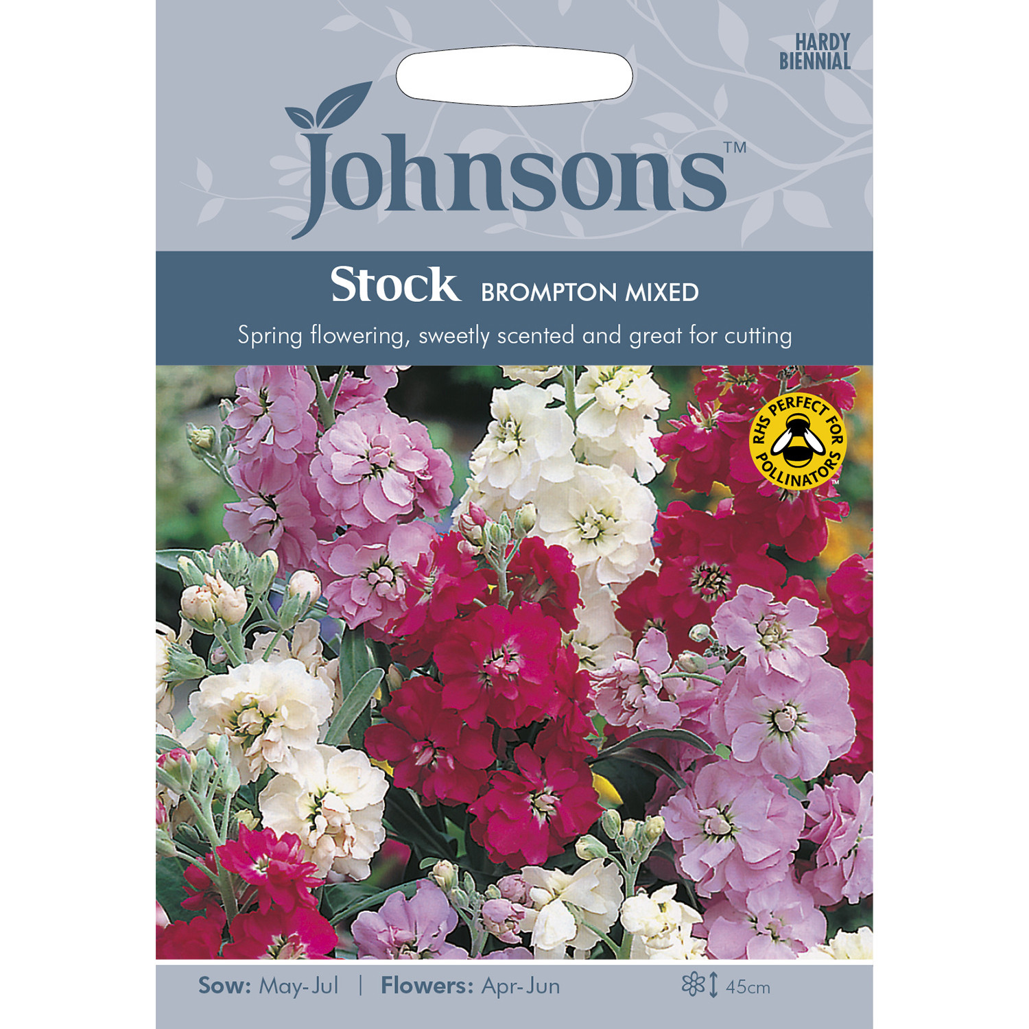 Pack of Brompton Mixed Stock Flower Seeds Image 1