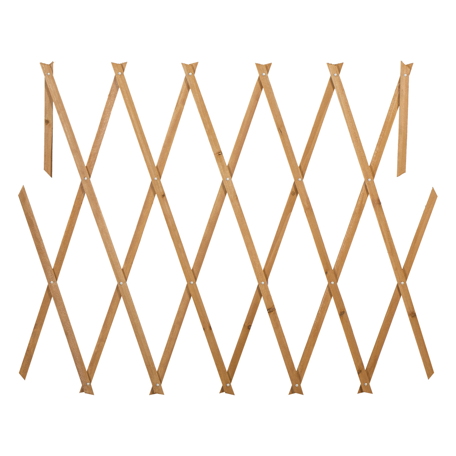 Expandable Fan Trellis  - 180 x 61cm Image