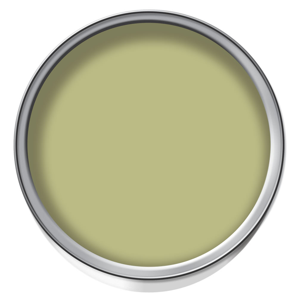 Wilko Organic Green Emulsion Paint Tester Pot 75ml Image 2