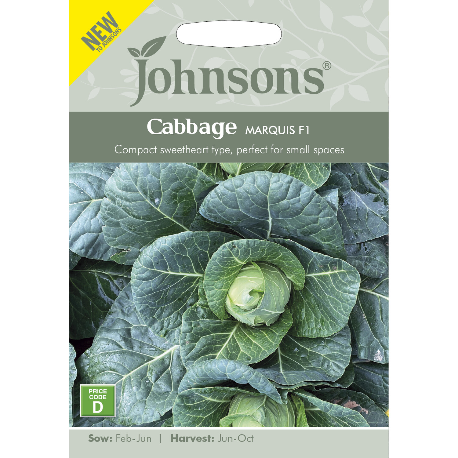 Johnsons Cabbage Marquis F1 Vegetable Seeds Image 2