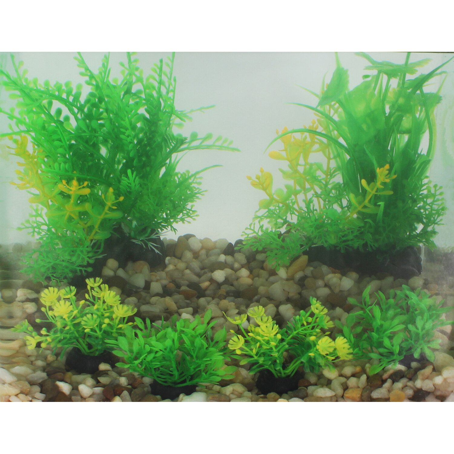 6 Piece Aqua Plant Decorating Kit Green Image 4