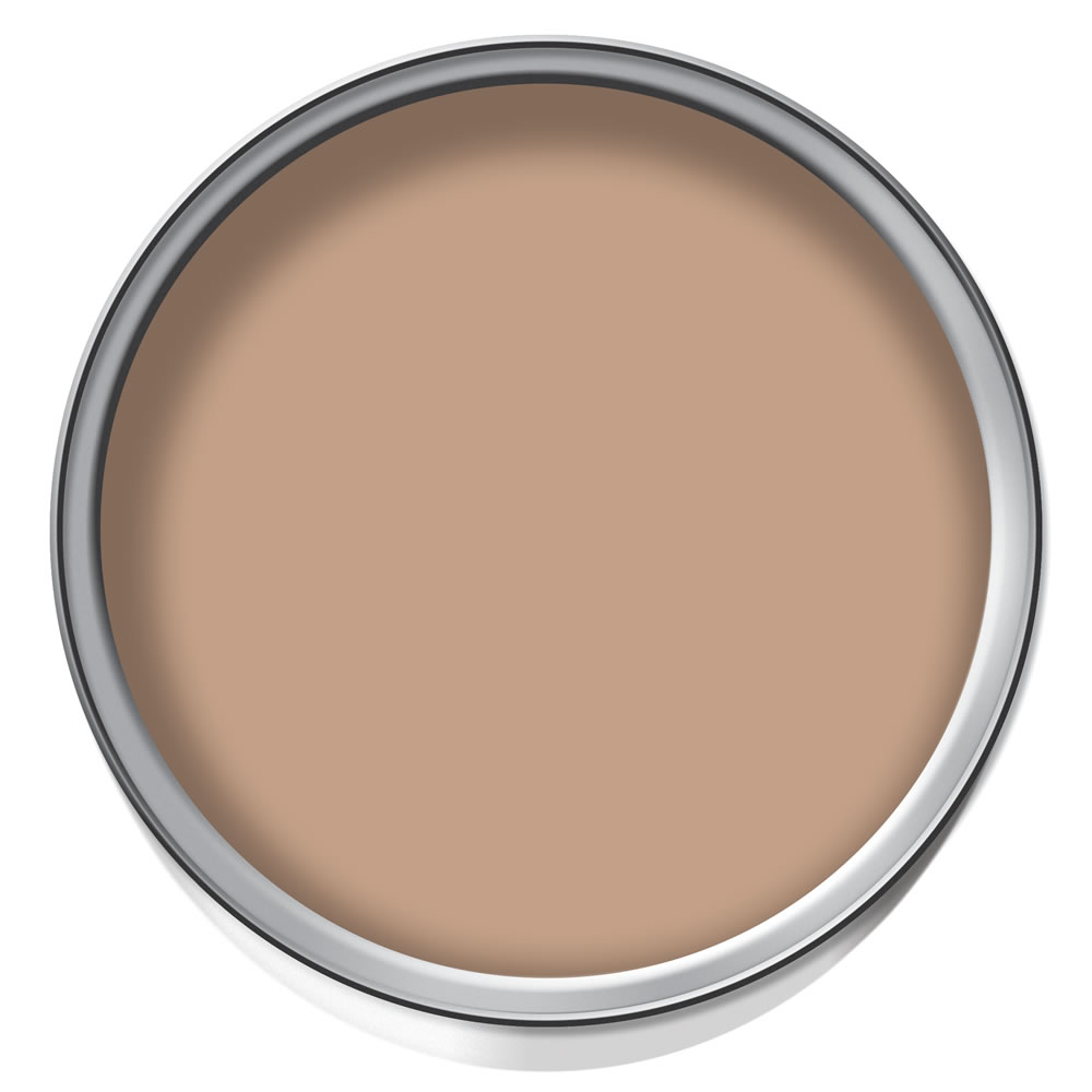 Wilko Durable Chocolate Dream Matt Emulsion Paint 2.5L Image 2