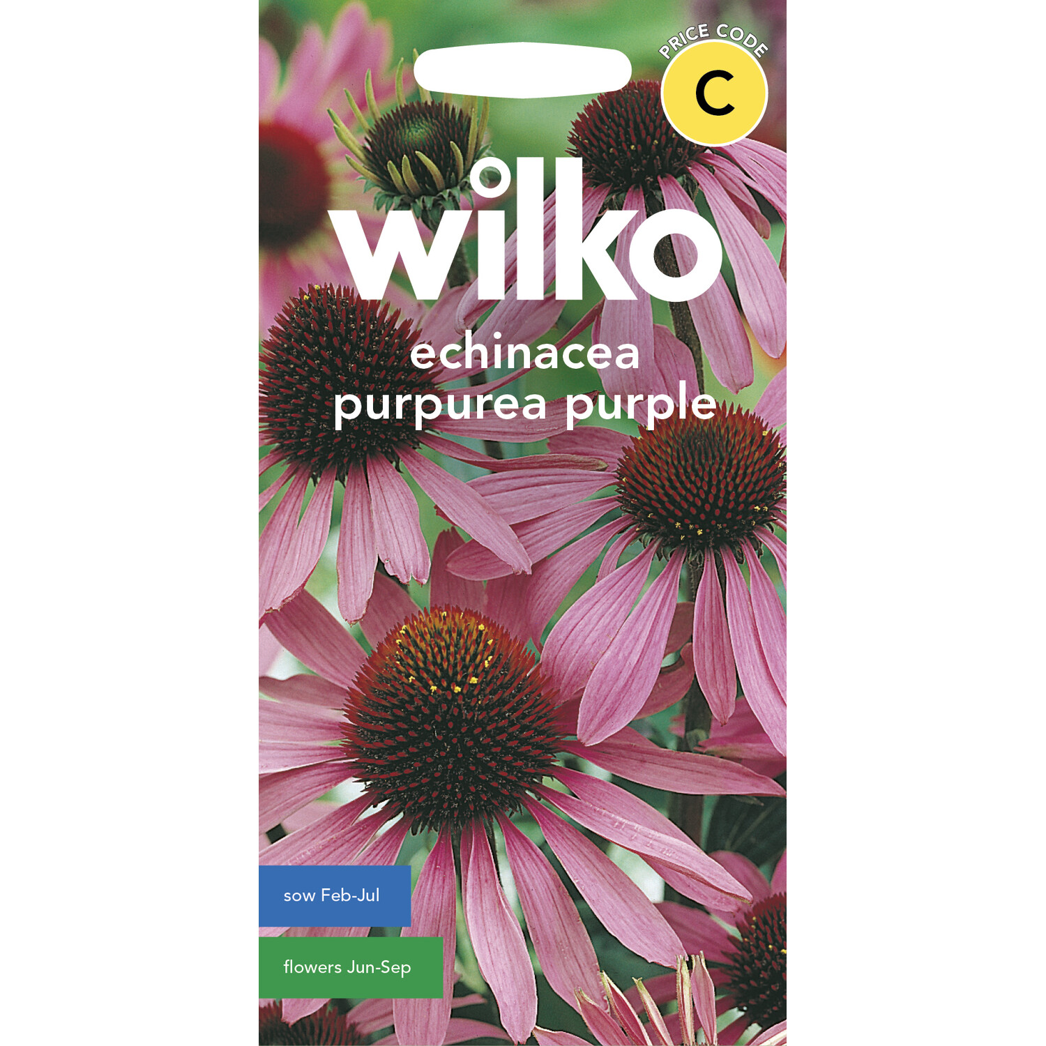 Wilko Echinacea Purpurea Purple Seeds Image 1