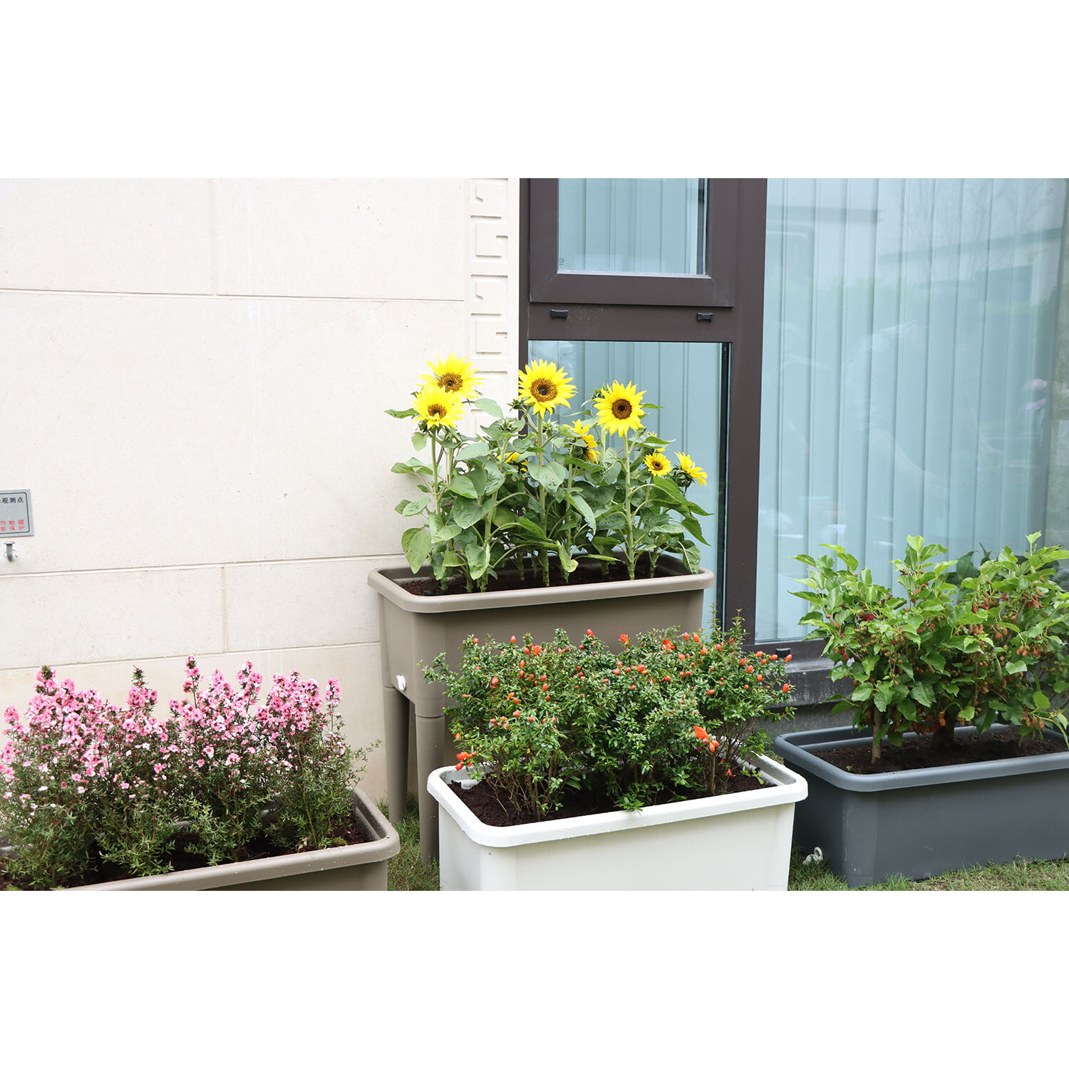 Raised Garden Flower Bed - Grey Image 5