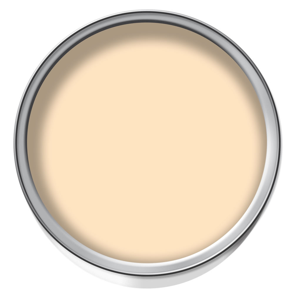 Wilko Bathroom Soft Cream Mid Sheen Emulsion Paint  2.5L Image 2
