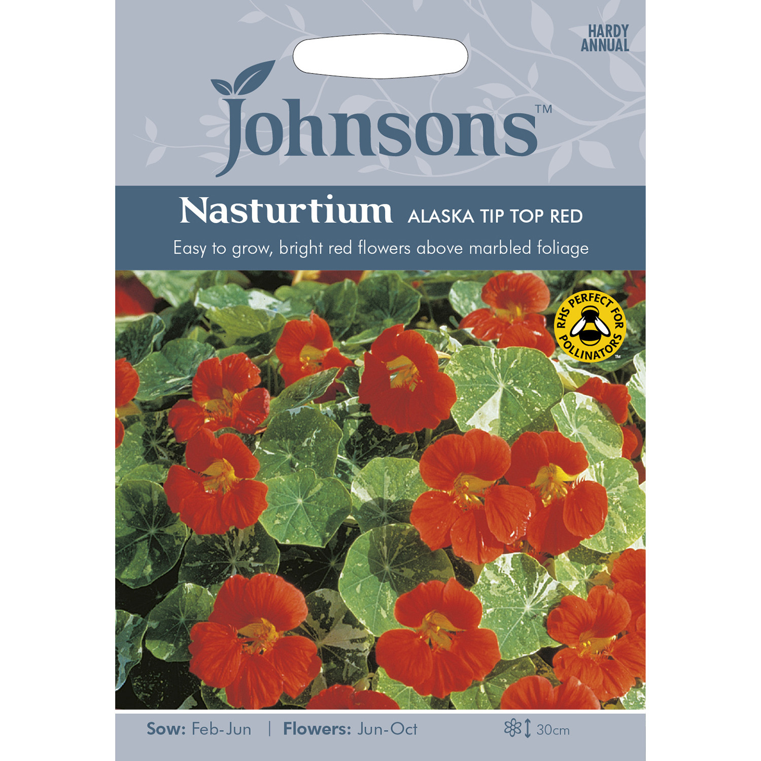 Johnsons Nasturtium Alaska Tip-Top Red Flower Seeds Image 2