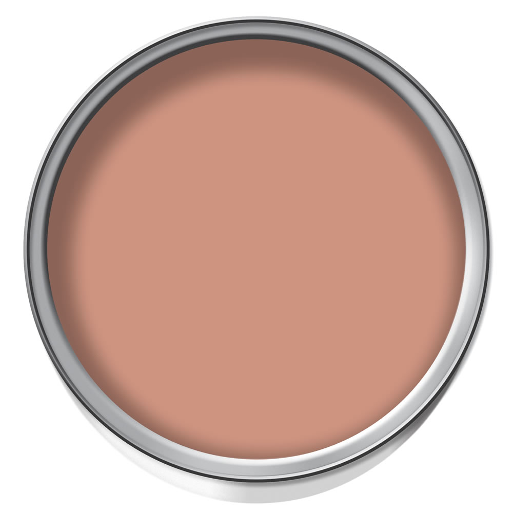 Dulux Copper Blush Matt Emulsion Paint 2.5L Image 2