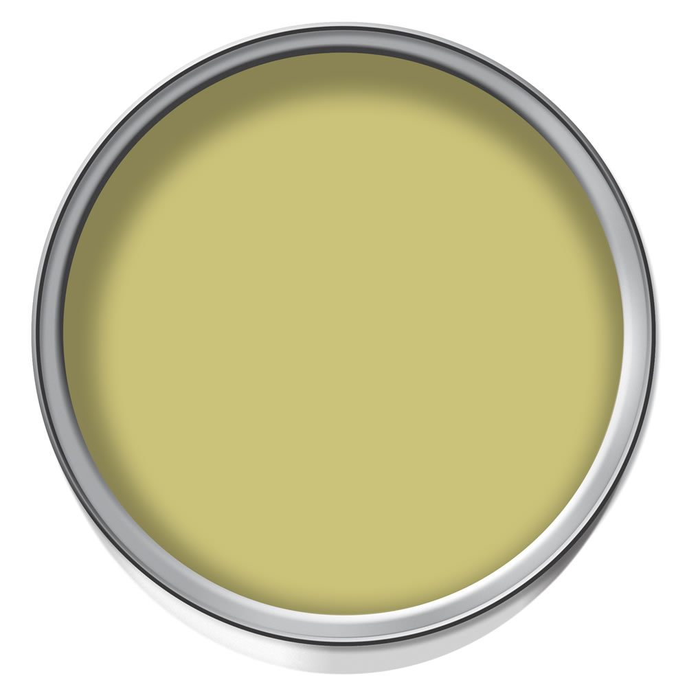 Crown Gentle Olive Matt Emulsion Paint Tester Pot 40ml Wilko