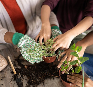 top tips for gardening with kids