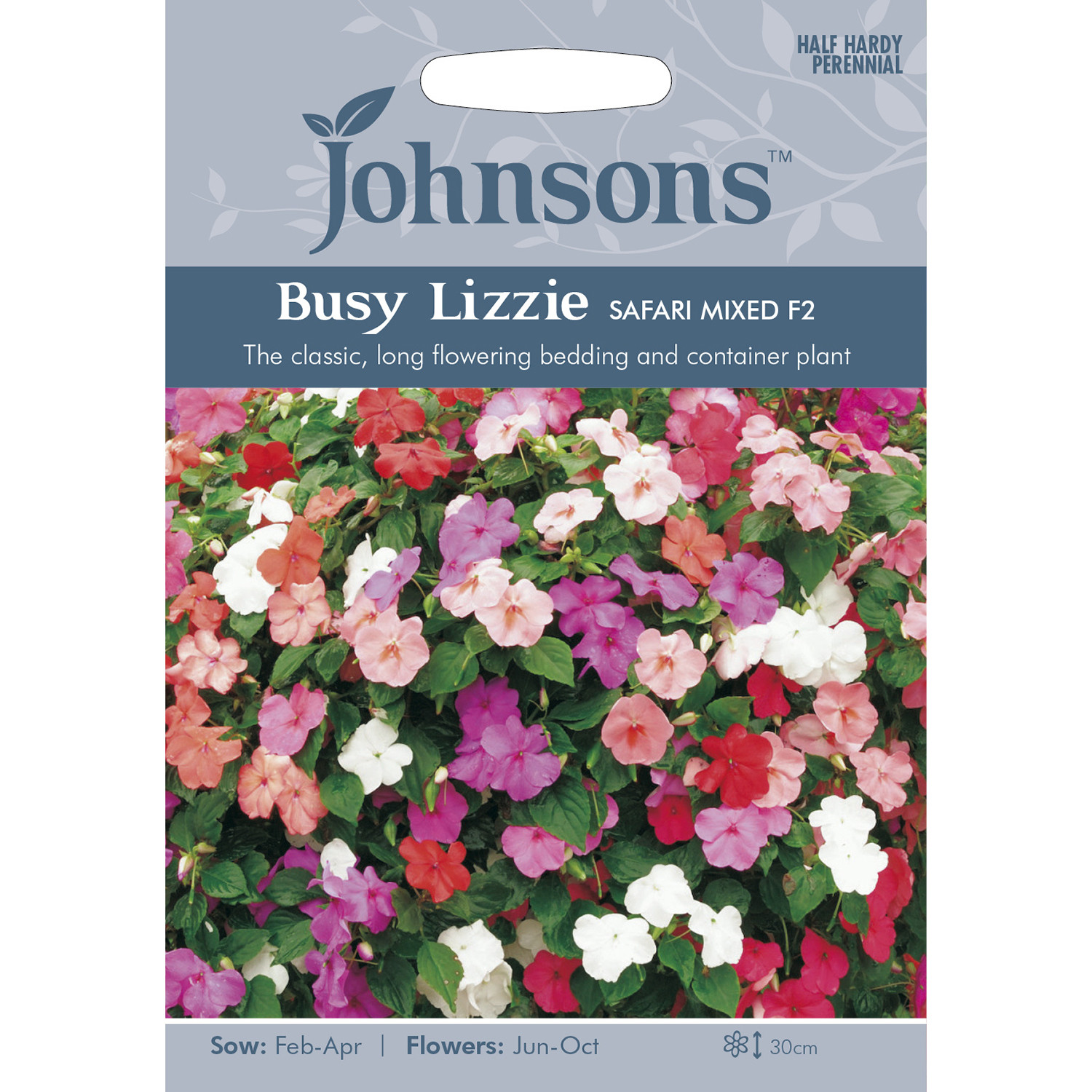 Johnsons Busy Lizzie Mixed Safari F2 Flower Seeds Image 2